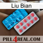 Liu Bian new14